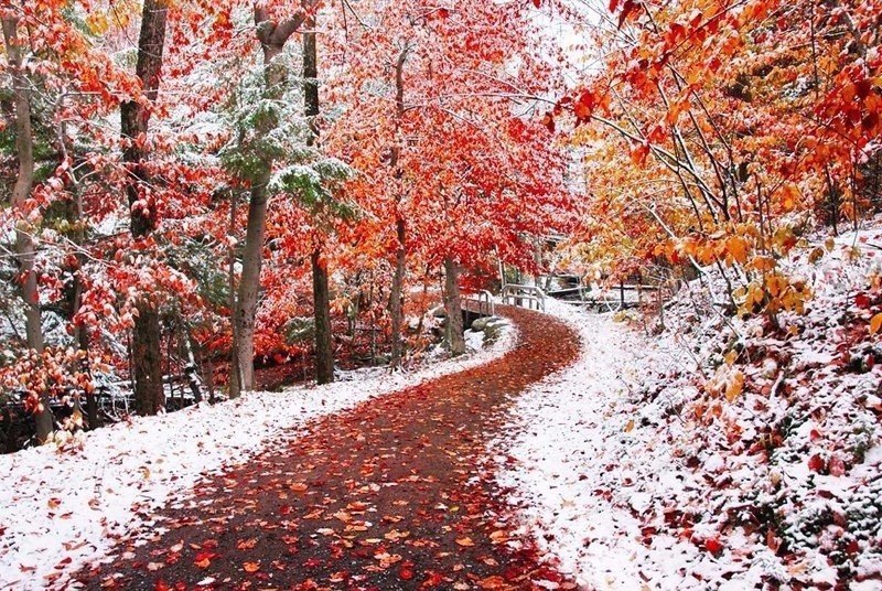     .#nature@travel.blog
