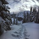 ���� �������, ���� - ��������� 1 ������ 2016 � ������ ���� ����������