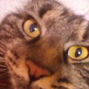 ���� �����, �����������, 38 ��� - ��������� 21 ����� 2017 � ������ ���� ����������