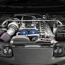 ���� ���������, ������, 44 ���� - ��������� 7 ������ 2017 � ������ ������ ��������