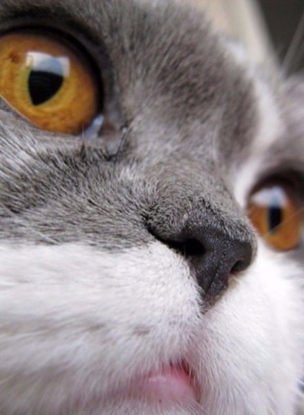       - 6  2016  17:18 - 3