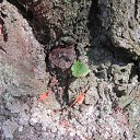 ���� Igor, �����-���������, 59 ��� - ��������� 13 �������� 2016 � ������ ���� ����������