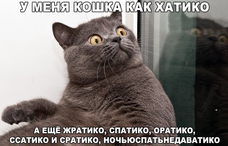    :D - 27  2016  04:03