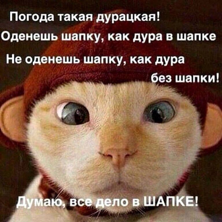 Ta - 28  2017  17:20