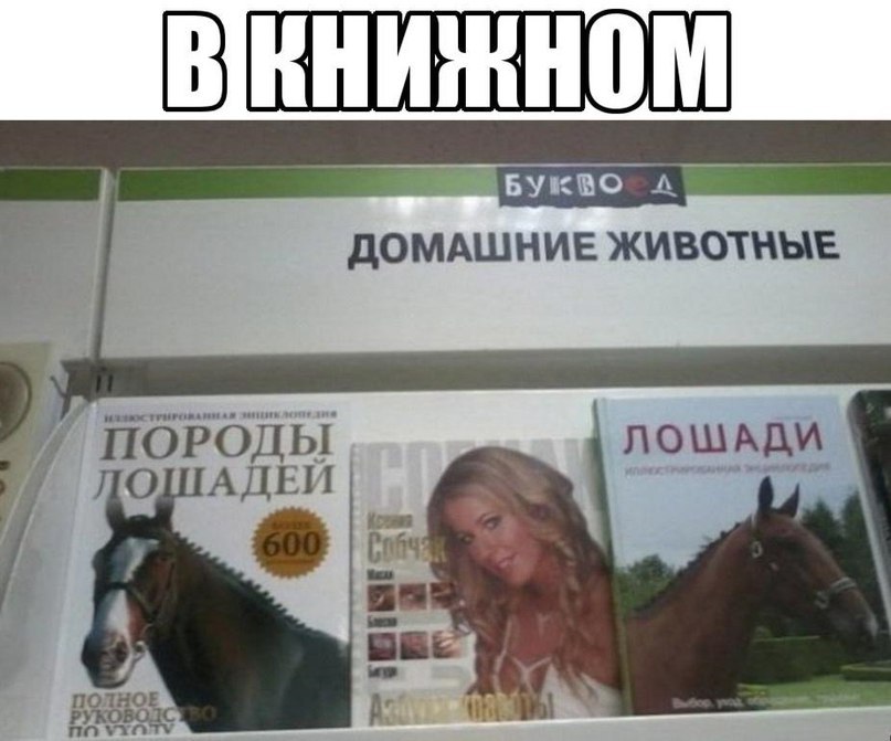 �������� ������ � ������ - 28 ������ 2017 � 21:09