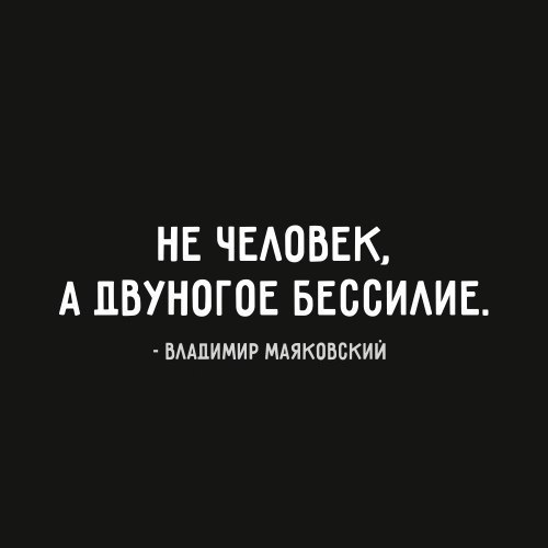 LIFE -  - 13  2016  19:55