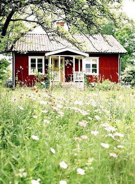 Откройте ваше сердце счастью. Впустите в вашу душу свет. И мир покажется прекрасным. Жить по- ... - 5
