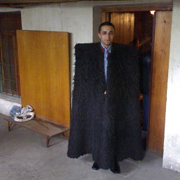 Beso, �������, 43 ����