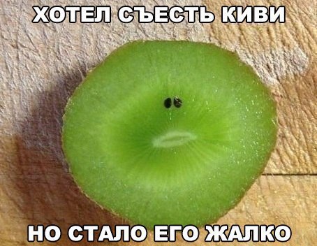    :D - 10  2017  05:04