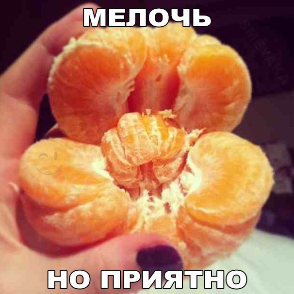    :D - 7  2017  05:36
