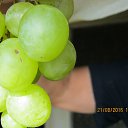 ���� Gardner, ���! - ��������� 21 ������� 2016 � ������ ���� ����������