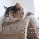 ���� ����, ����, 54 ���� - ��������� 26 ������ 2016 � ������ ���� ����������