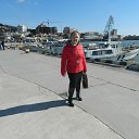  , , 73  -  26  2017     Ի