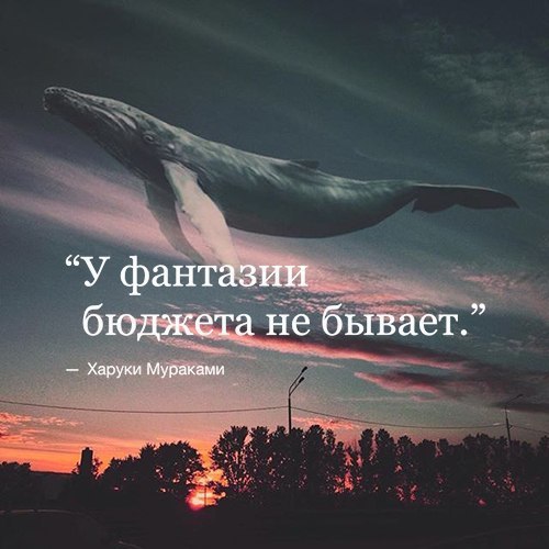    - 8  2016  10:29