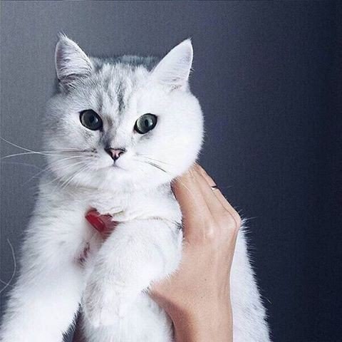  - 2