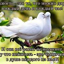 ���� �� �����, ������, 53 ���� - ��������� 14 ������ 2017 � ������ ������ ��������