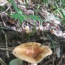 ���� ������, ������, 51 ��� - ��������� 29 �������� 2016 � ������ ������ - ������ � ����������