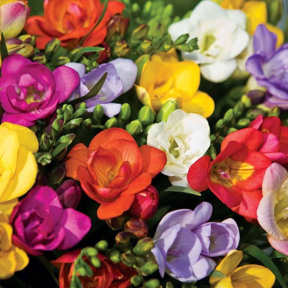 !     .  ! , , . !   ... - 3