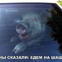 ���� �����, ������, 57 ��� - ��������� 10 ����� 2017 � ������ �������