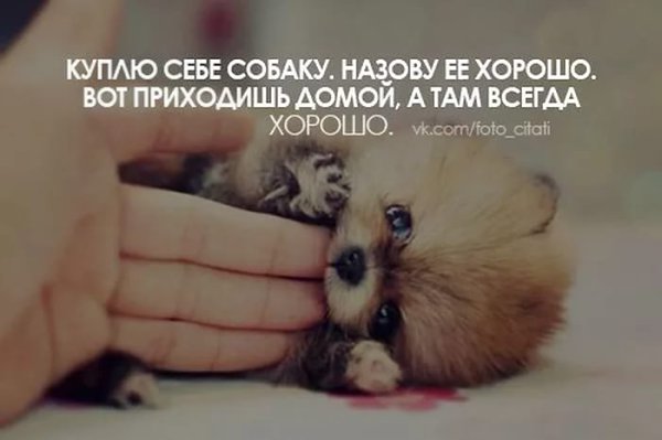 ������� ���� ������������� ����. ����� �� ���� ��������, ������� ����������� ������� � ������, ... - 13