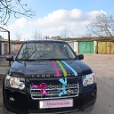 ���� ������, ���������, 42 ���� - ��������� 8 ������� 2016 � ������ ������ ��������