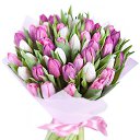 ���� �������, �����-��������� - ��������� 7 ����� 2017 � ������ ������ ��������