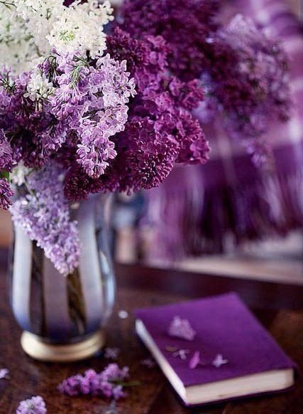 ,   .  .     ,    ! - 5