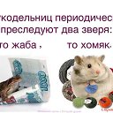   Stalker, -, 38  -  23  2017    