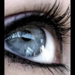 �����, ���������, 56 ���