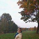 ���� ����, ����, 57 ��� - ��������� 3 ������� 2016 � ������ ���� ����������