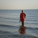  ,  , 65  -  15  2016    