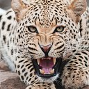 ���� �������, �������, 41 ��� - ��������� 26 �������� 2016 � ������ ������ ��������