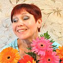 ���� �������, ��������� - ��������� 27 ������ 2017 � ������ ���� ����������