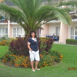 ���� �����, �������-�����, 58 ��� - ��������� 12 ������ 2016