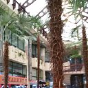 ���� �������, ��������� - ��������� 29 ������ 2016 � ������ ���� ����������