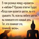 ���� �������, ������, 41 ��� - ��������� 2 ������ 2016 � ������ ���� ����������