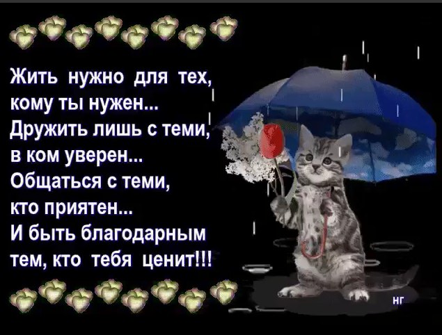 Mrin - 6  2017  19:37