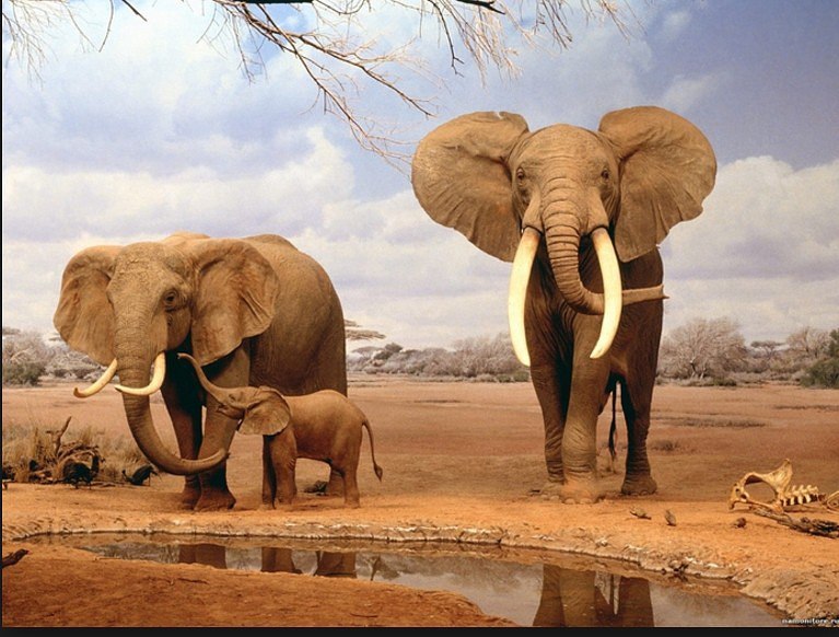    ...     ...      ... - 4