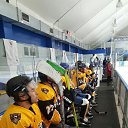 ���� �����, ������, 38 ��� - ��������� 8 ������ 2017 � ������ ���� ����������
