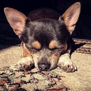 ���� ����, ������ - ��������� 24 ������� 2016 � ������ ������ ��������