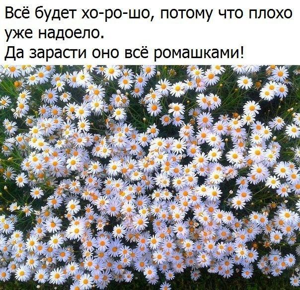   - 7  2017  17:50