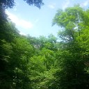 ���� ���������, ����������, 46 ��� - ��������� 20 ������� 2016 � ������ �������