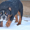 ����. �� ������� ���� ��������