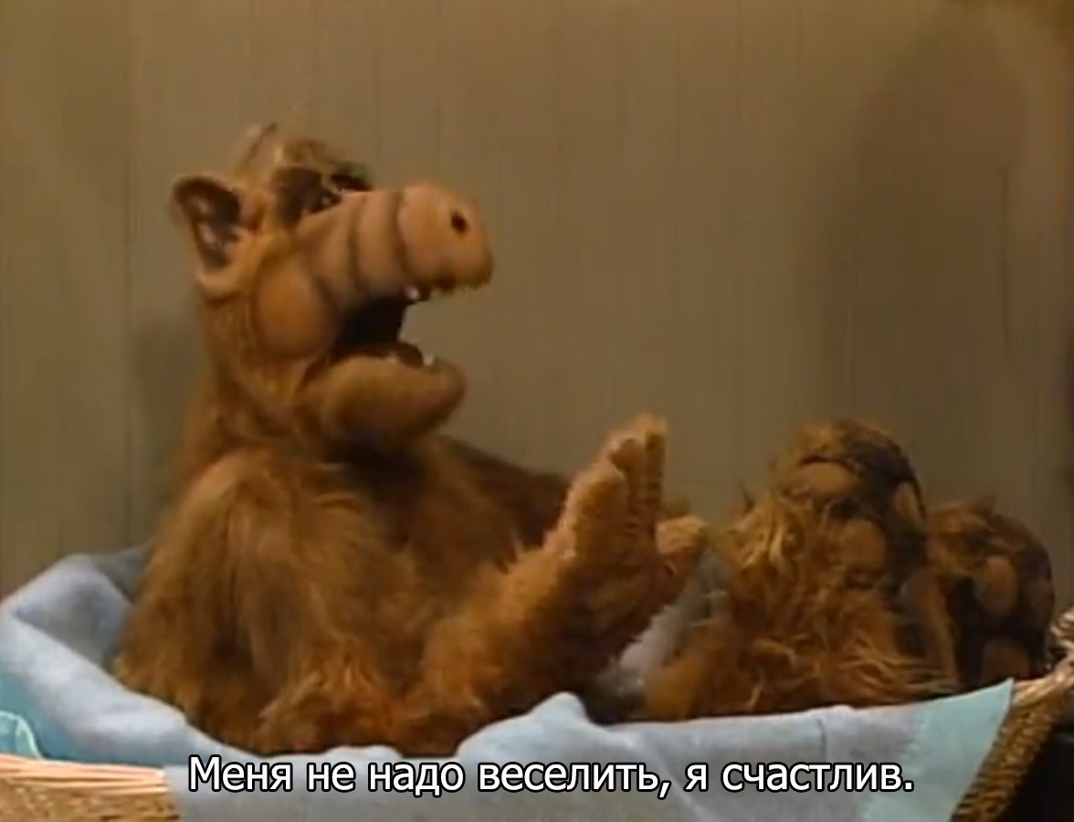 Кот лаки из сериала альф