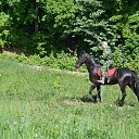 ���� �������, �������, 53 ���� - ��������� 10 ������� 2017 � ������ �����, ������, �����. �����!�