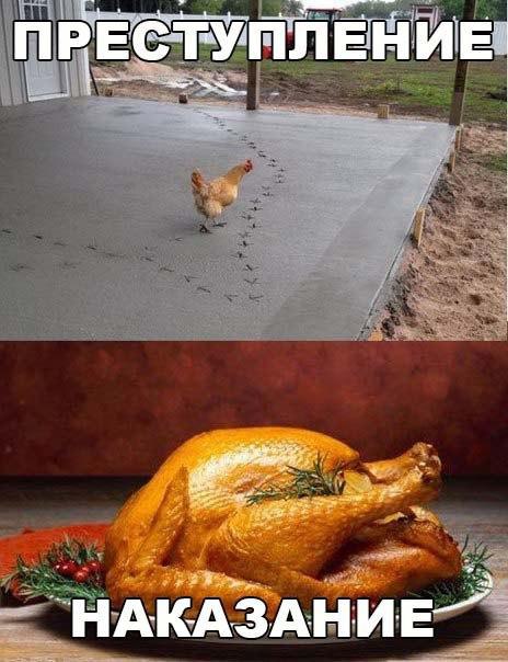  -  ) - 26  2017  12:27