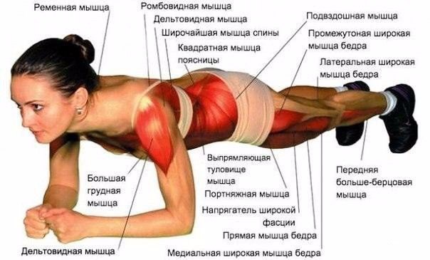 ��� �� ������ - 3