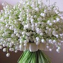 ���� ������, ���� - ��������� 11 ����� 2017 � ������ ������ ��������