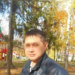 , 38, 