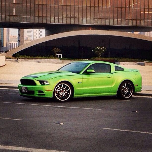 Ford Mustang Shelby - 4